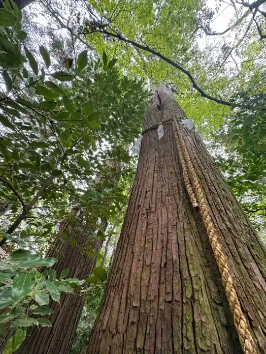 秋葉山量覚院の{uncategorized: "未分類", other: "その他", undefined: "問題あり", building: "その他建物", grave: "お墓", sacred_gate: "鳥居", guardian: "狛犬", statue: "像", buddha: "仏像", history: "歴史", nature: "自然", garden: "庭園", animal: "動物", pagoda: "塔", temizu: "手水舎", mountain_gate: "山門・神門", sanctuary: "本殿・本堂", subordinate: "末社・摂社", art: "芸術", scenery: "景色", jizo: "地蔵", ema: "絵馬", goshuin: "御朱印", omikuji: "おみくじ", items: "授与品その他", amulet: "お守り", goshuincho: "御朱印帳", eats: "食事", festival: "お祭り", votive_dance: "神楽", shichigosan: "七五三参", wedding: "結婚式", experience: "体験その他", initially: "初詣", around: "周辺", anti_infection: "感染症対策"}