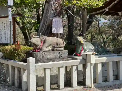 長岡天満宮の狛犬