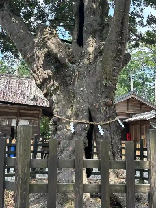 天宮神社(静岡県)