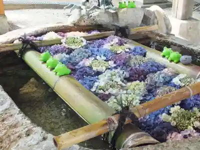 立志神社(滋賀県)