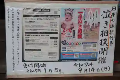 隠津島神社の体験その他