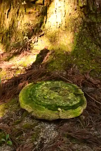 三社神社(愛媛県)