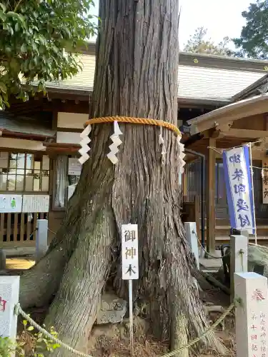 山倉大神の{uncategorized: "未分類", other: "その他", undefined: "問題あり", building: "その他建物", grave: "お墓", sacred_gate: "鳥居", guardian: "狛犬", statue: "像", buddha: "仏像", history: "歴史", nature: "自然", garden: "庭園", animal: "動物", pagoda: "塔", temizu: "手水舎", mountain_gate: "山門・神門", sanctuary: "本殿・本堂", subordinate: "末社・摂社", art: "芸術", scenery: "景色", jizo: "地蔵", ema: "絵馬", goshuin: "御朱印", omikuji: "おみくじ", items: "授与品その他", amulet: "お守り", goshuincho: "御朱印帳", eats: "食事", festival: "お祭り", votive_dance: "神楽", shichigosan: "七五三参", wedding: "結婚式", experience: "体験その他", initially: "初詣", around: "周辺", anti_infection: "感染症対策"}