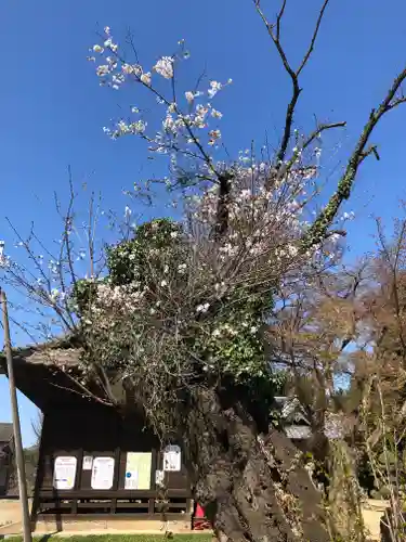 伏木香取神社の本殿・本堂