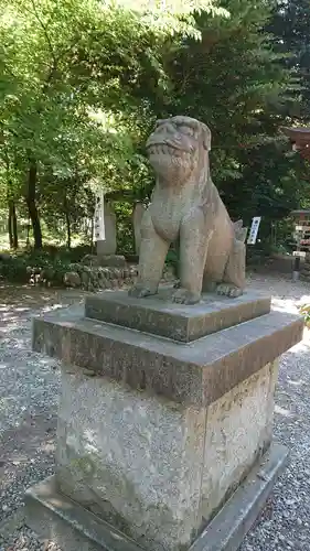 三ケ尻八幡神社の狛犬