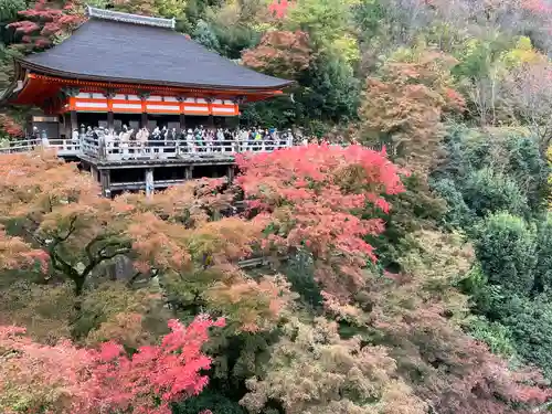 清水寺の景色