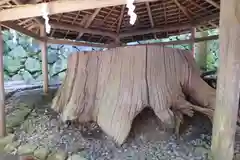 大神神社の自然