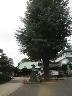 正覚寺のその他建物