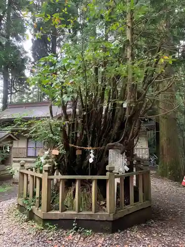 幣立神宮(熊本県)