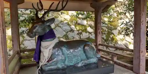 吉田神社の狛犬