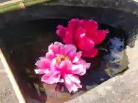 真言宗 善通寺派 薬王寺(香川県)