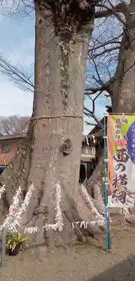 八枝神社(埼玉県)