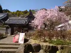 長谷寺の山門