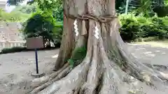 素鵞神社(茨城県)