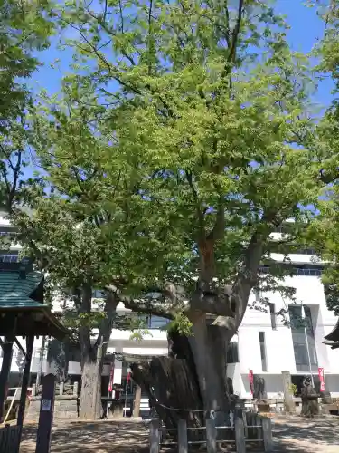 阿邪訶根神社(福島県)
