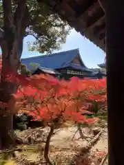 東福禅寺（東福寺）の自然