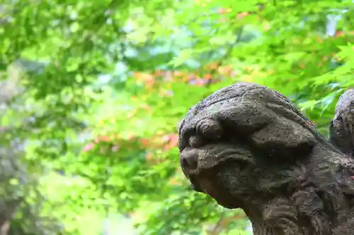 春日神社の狛犬