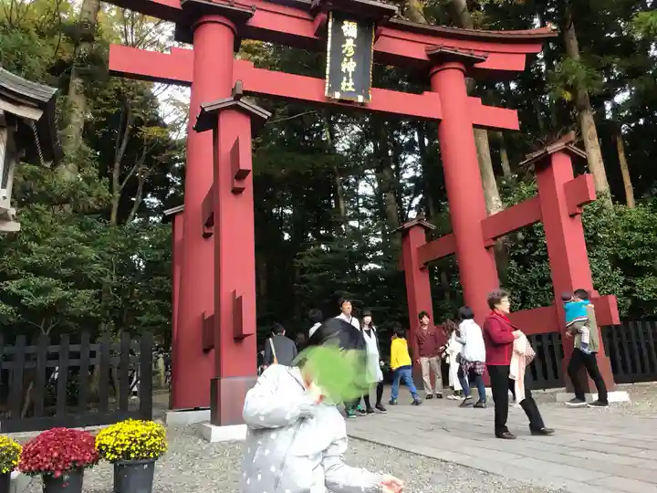 彌彦神社の鳥居