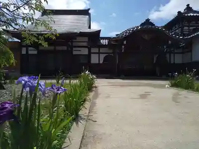 證誠寺(福井県)
