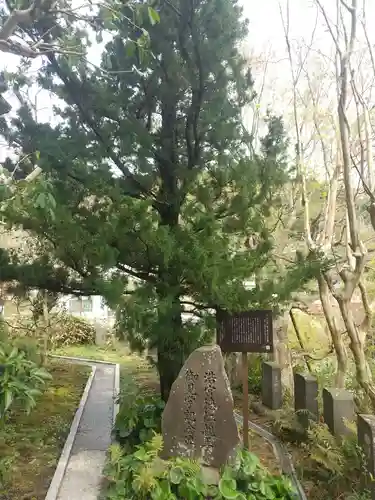 城願寺(神奈川県)