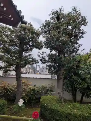 西蓮寺(東京都)