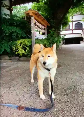 感通寺(東京都)