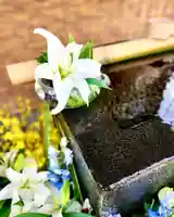 上尾御嶽神社の手水舎