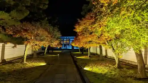 妙顯寺（妙顕寺）(京都府)
