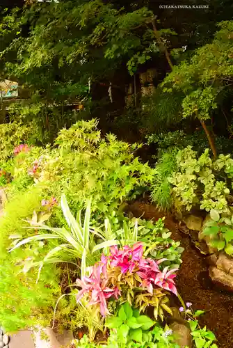 東京大神宮(東京都)