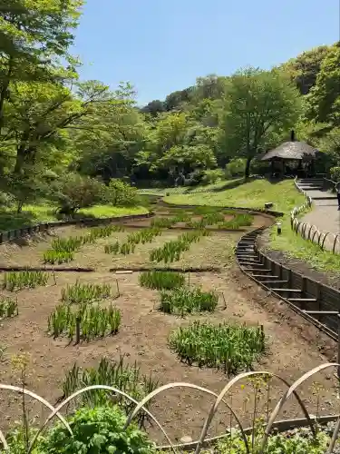 明治神宮の{uncategorized: "未分類", other: "その他", undefined: "問題あり", building: "その他建物", grave: "お墓", sacred_gate: "鳥居", guardian: "狛犬", statue: "像", buddha: "仏像", history: "歴史", nature: "自然", garden: "庭園", animal: "動物", pagoda: "塔", temizu: "手水舎", mountain_gate: "山門・神門", sanctuary: "本殿・本堂", subordinate: "末社・摂社", art: "芸術", scenery: "景色", jizo: "地蔵", ema: "絵馬", goshuin: "御朱印", omikuji: "おみくじ", items: "授与品その他", amulet: "お守り", goshuincho: "御朱印帳", eats: "食事", festival: "お祭り", votive_dance: "神楽", shichigosan: "七五三参", wedding: "結婚式", experience: "体験その他", initially: "初詣", around: "周辺", anti_infection: "感染症対策"}
