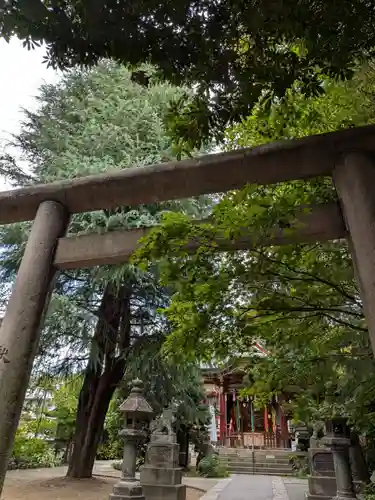 青山熊野神社(東京都)