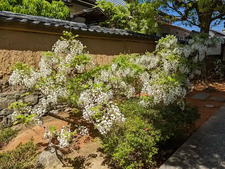 長慶院(京都府)
