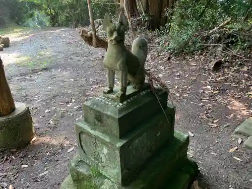 稲荷神社の狛犬