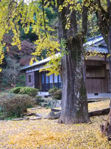 椿八幡宮(山口県)