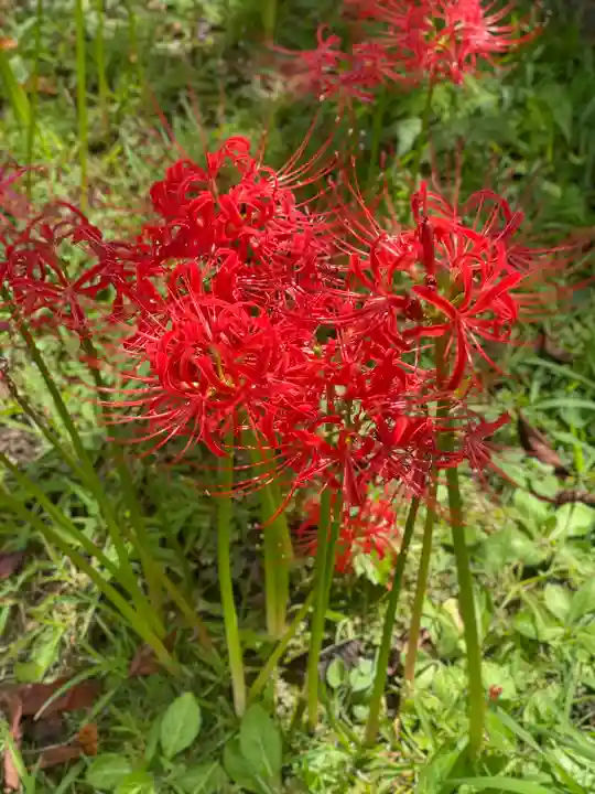横浜 西方寺(神奈川県)
