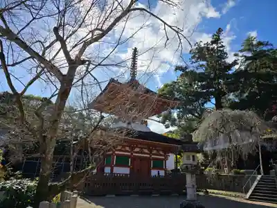 金剛寺(大阪府)