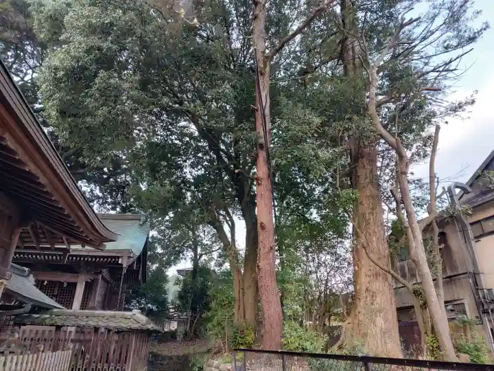 王子神社の{uncategorized: "未分類", other: "その他", undefined: "問題あり", building: "その他建物", grave: "お墓", sacred_gate: "鳥居", guardian: "狛犬", statue: "像", buddha: "仏像", history: "歴史", nature: "自然", garden: "庭園", animal: "動物", pagoda: "塔", temizu: "手水舎", mountain_gate: "山門・神門", sanctuary: "本殿・本堂", subordinate: "末社・摂社", art: "芸術", scenery: "景色", jizo: "地蔵", ema: "絵馬", goshuin: "御朱印", omikuji: "おみくじ", items: "授与品その他", amulet: "お守り", goshuincho: "御朱印帳", eats: "食事", festival: "お祭り", votive_dance: "神楽", shichigosan: "七五三参", wedding: "結婚式", experience: "体験その他", initially: "初詣", around: "周辺", anti_infection: "感染症対策"}
