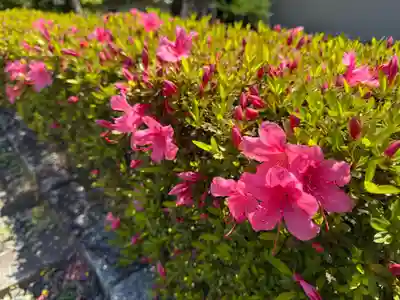 西方山極楽寺(岐阜県)