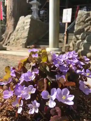 高司神社〜むすびの神の鎮まる社〜(福島県)
