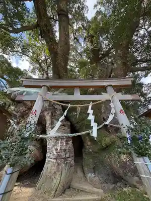 須賀神社(高知県)
