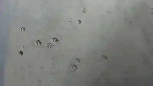 長楽寺のその他建物