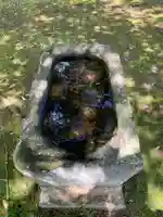 大宮神社(千葉県)