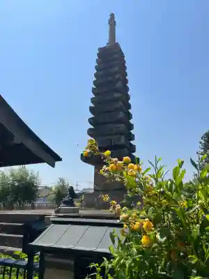 般若寺 ❁﻿コスモス寺❁(奈良県)