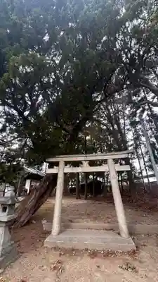 須佐之男神社(奈良県)