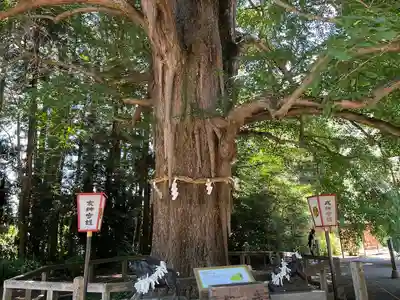 水戸八幡宮(茨城県)