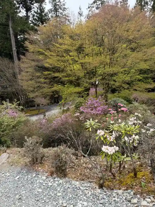 三峯神社の{uncategorized: "未分類", other: "その他", undefined: "問題あり", building: "その他建物", grave: "お墓", sacred_gate: "鳥居", guardian: "狛犬", statue: "像", buddha: "仏像", history: "歴史", nature: "自然", garden: "庭園", animal: "動物", pagoda: "塔", temizu: "手水舎", mountain_gate: "山門・神門", sanctuary: "本殿・本堂", subordinate: "末社・摂社", art: "芸術", scenery: "景色", jizo: "地蔵", ema: "絵馬", goshuin: "御朱印", omikuji: "おみくじ", items: "授与品その他", amulet: "お守り", goshuincho: "御朱印帳", eats: "食事", festival: "お祭り", votive_dance: "神楽", shichigosan: "七五三参", wedding: "結婚式", experience: "体験その他", initially: "初詣", around: "周辺", anti_infection: "感染症対策"}