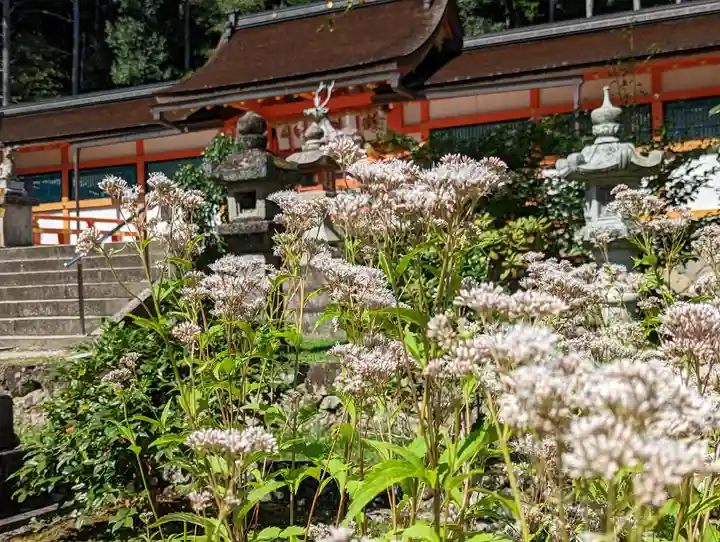大原野神社(京都府)