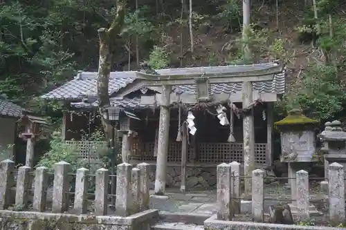 崇道神社の鳥居