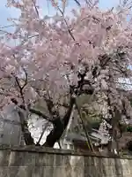 教重寺(福井県)