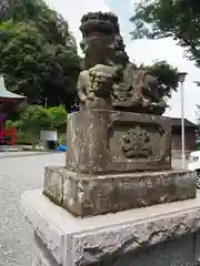 梶原八幡神社の狛犬